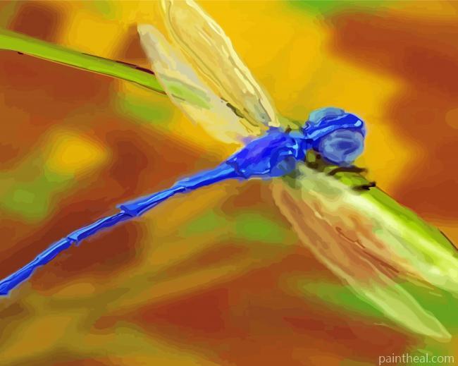 Damsel Fly Painting By Numbers Kits