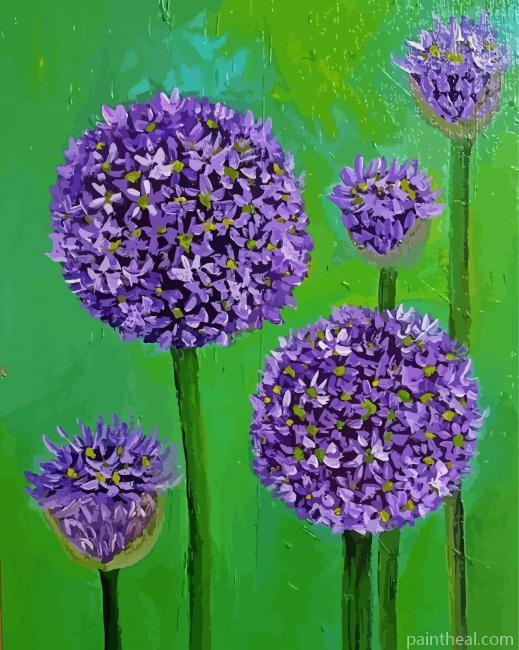 Allium Flowers Art Painting By Numbers Kits