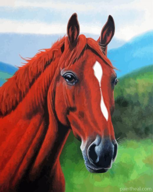 Brown Horse Head Painting By Numbers Kits