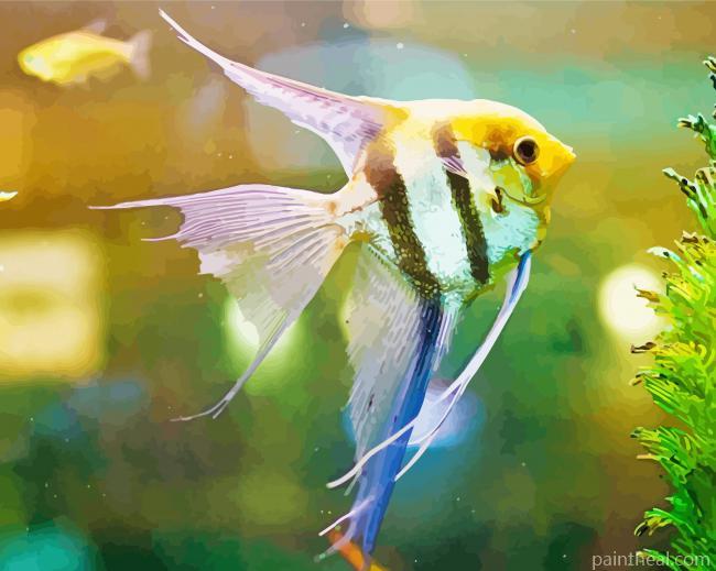 The Angelfish Painting By Numbers Kits