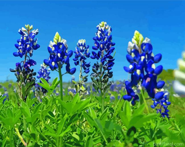 Aesthetic Blue Bonnet Painting By Numbers Kits