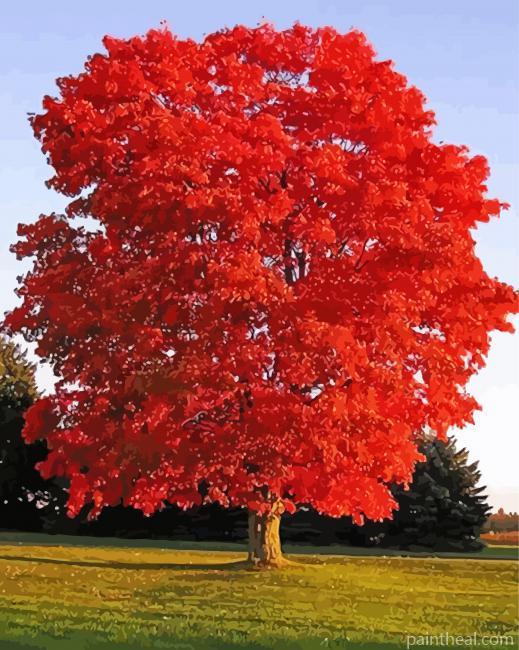 Aesthetic Red Trees Painting By Numbers Kits