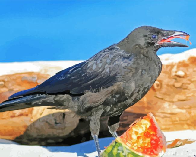 Crow On Watermelon Painting By Numbers Kits