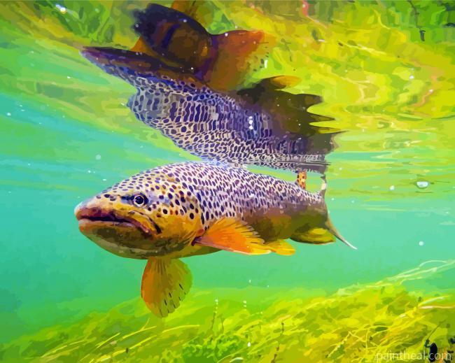 Brown Trout Under Sea Painting By Numbers Kits