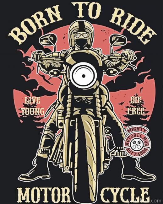 Born To Ride Poster Painting By Numbers Kits