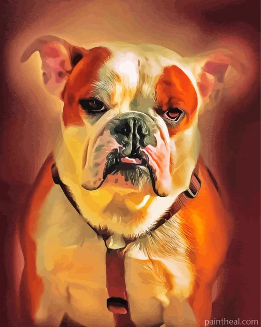 American Bulldog Animal Painting By Numbers Kits