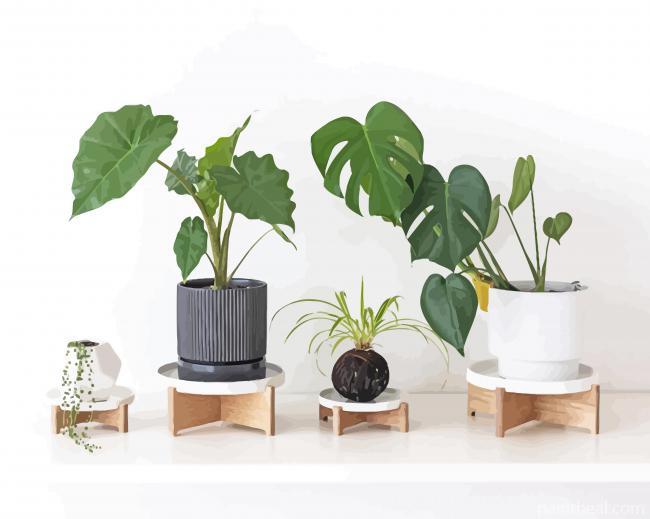Minimalist Plant Painting By Numbers Kits