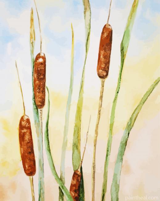 Cattail Plants Painting By Numbers Kits