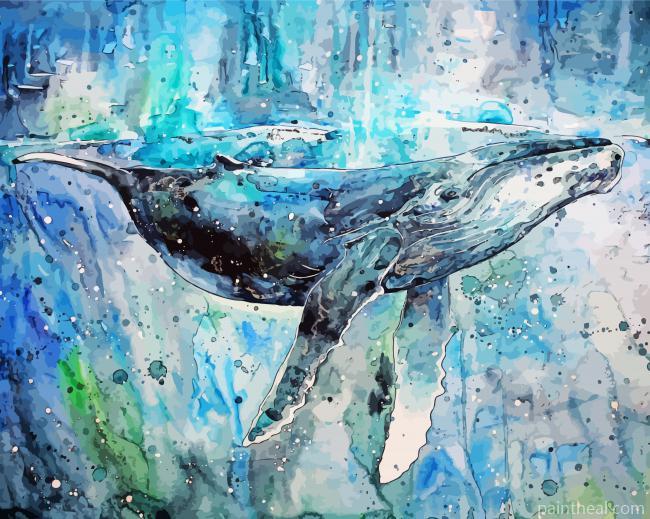 Humpback Whale Art Painting By Numbers Kits