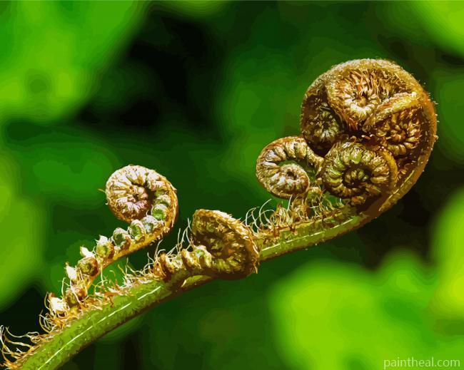 Koru Plant Painting By Numbers Kits