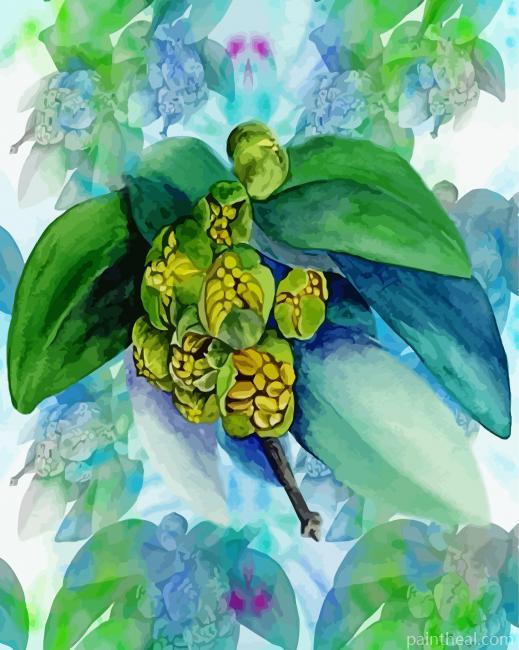 Jojoba Still Life Art Painting By Numbers Kits