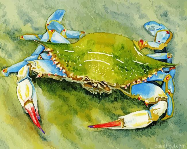 Blue Crab Painting By Numbers Kits