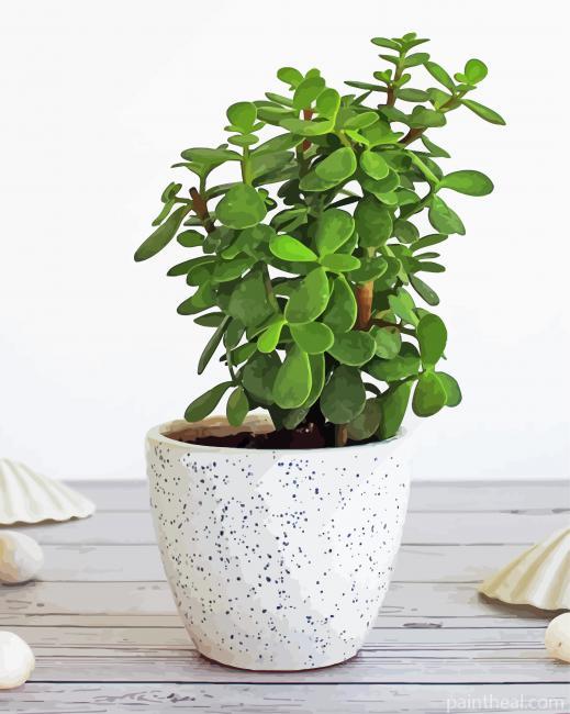 Green Jade Plant Painting By Numbers Kits