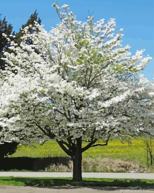 Aesthetic Dogwood Painting By Numbers Kits
