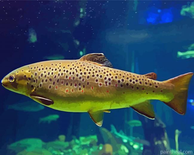 Aesthetic Brown Trout Painting By Numbers Kits