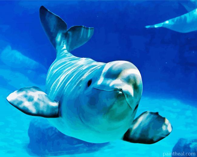 Baby Beluga Whale Painting By Numbers Kits