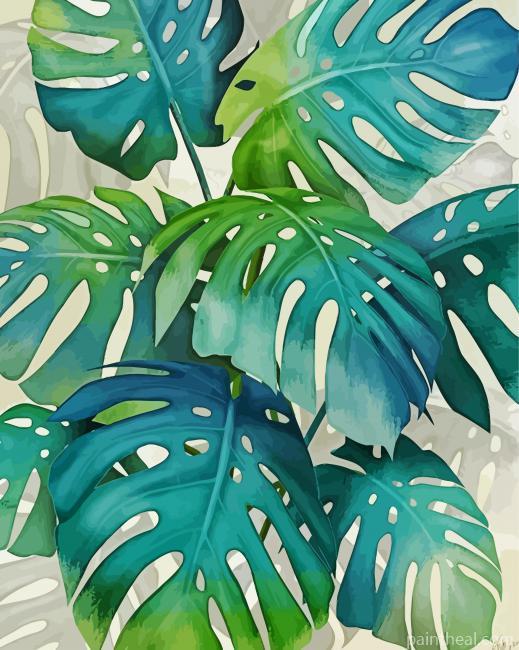Swiss Cheese Plant Painting By Numbers Kits