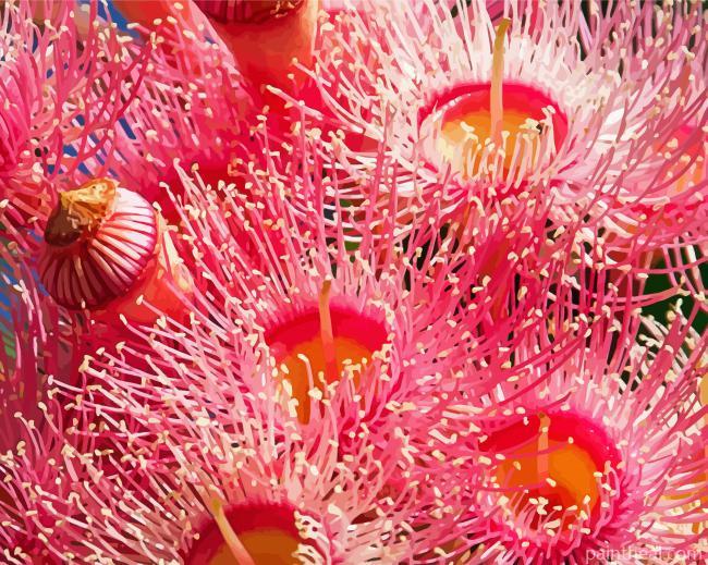 Australian Gum Plant Painting By Numbers Kits