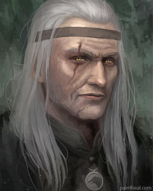 Dark Side Witcher Book Art Painting By Numbers Kits