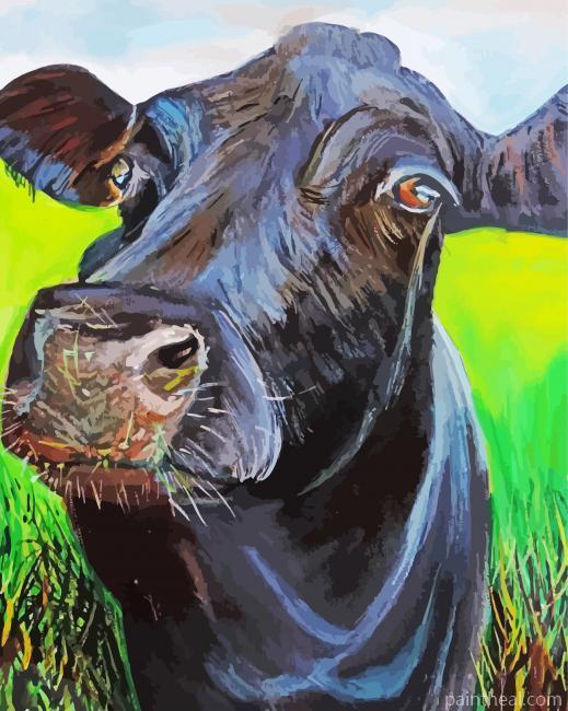 Black Cow Head Painting By Numbers Kits