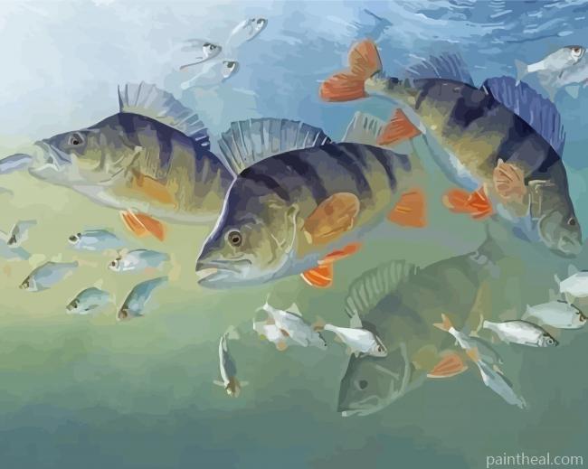 Aesthetic Coarse Fish Painting By Numbers Kits