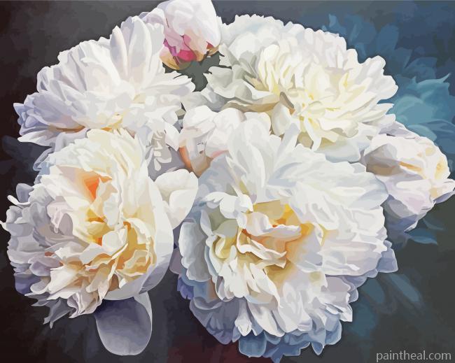 Peonies Flowers Painting By Numbers Kits