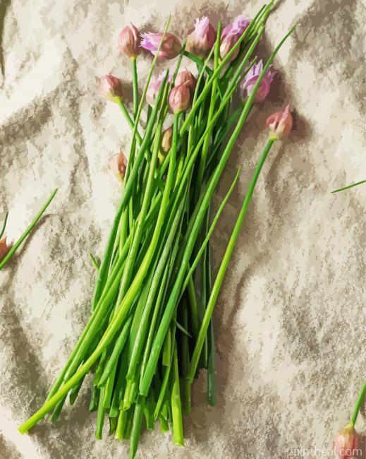 Fresh Chive Plant Painting By Numbers Kits
