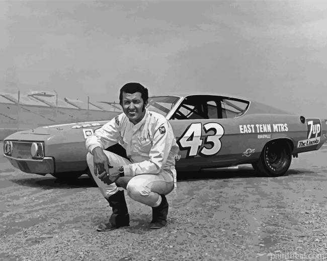Black And White Richard Petty Painting By Numbers Kits