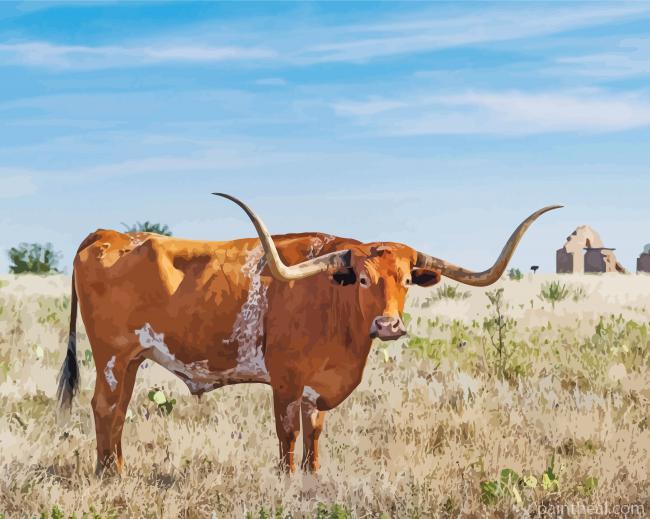 Brown Texas Longhorns Painting By Numbers Kits