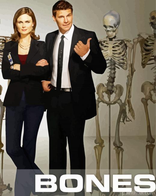 Booth And Brennan Bones Poster Painting By Numbers Kits