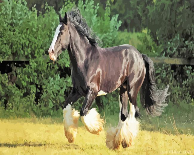Black Shire Horse Painting By Numbers Kits