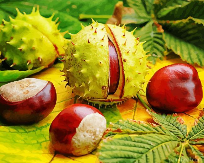 Ohio Buckeye Nuts Painting By Numbers Kits