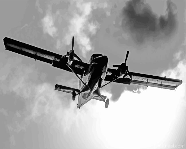 Black And White DHC 6 Twin Otter Painting By Numbers Kits