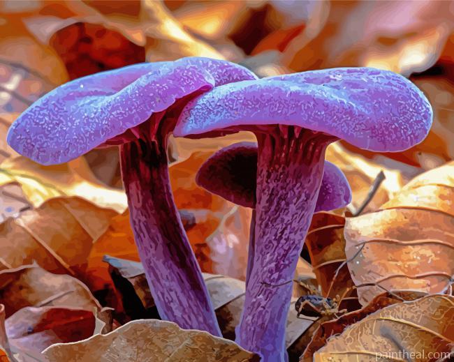 Purple Mushroom Painting By Numbers Kits
