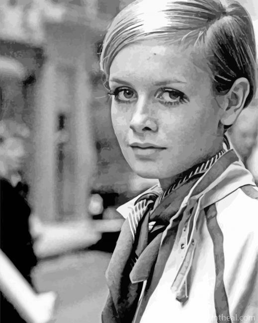 Dame Lesley Lawson Twiggy Painting By Numbers Kits