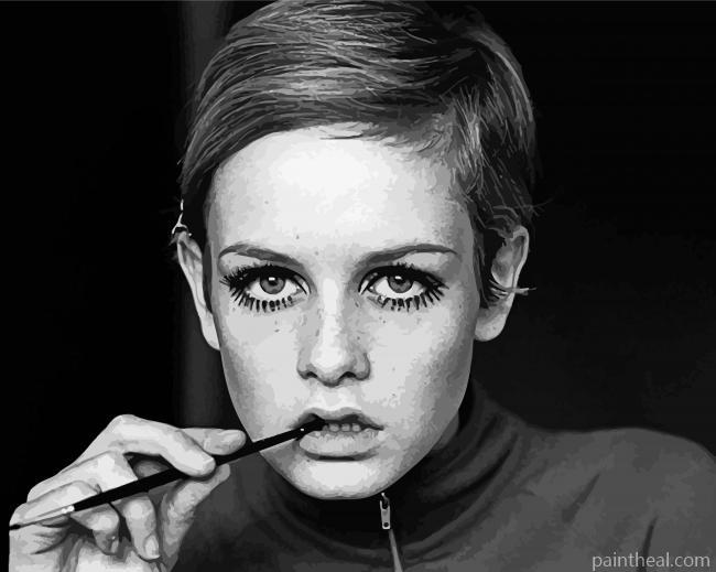 The Beautiful Twiggy Painting By Numbers Kits
