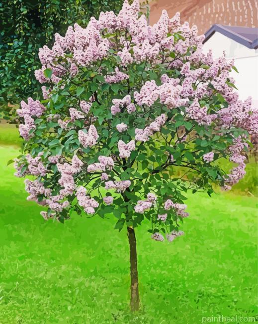 Aesthetic Lilac Tree Painting By Numbers Kits