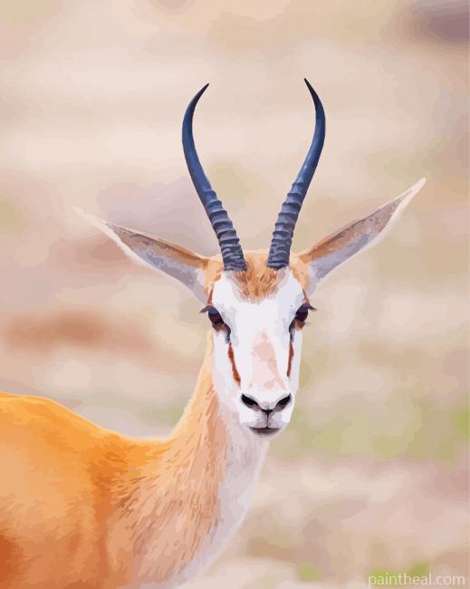 Springbok Head Painting By Numbers Kits