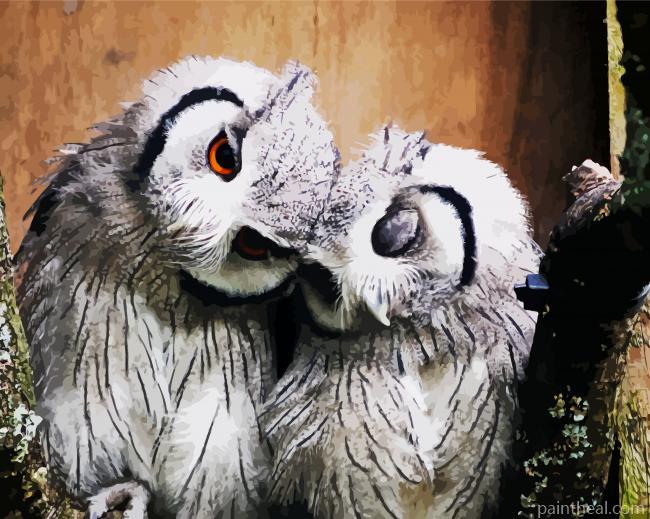 Lovely Bids Owl Couple Painting By Numbers Kits