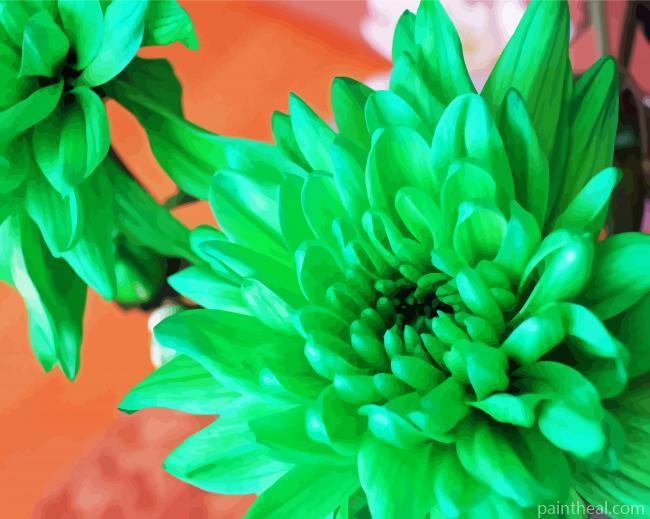 Beautiful Green Flowers Painting By Numbers Kits