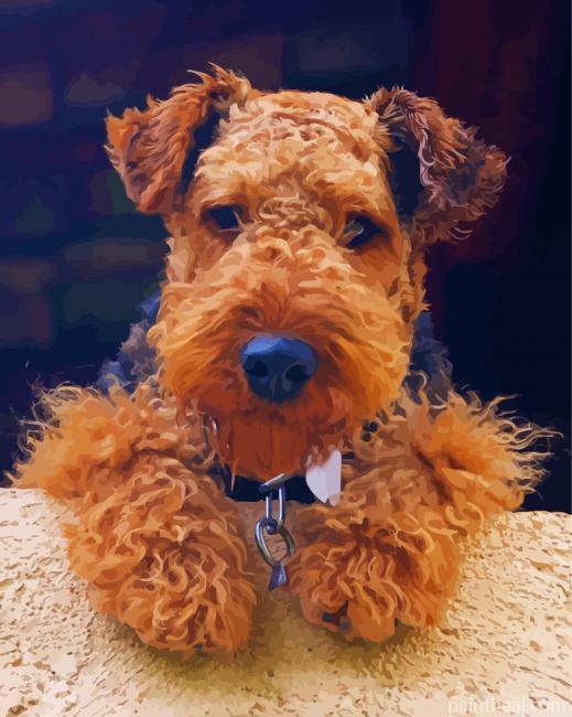 Cute Welsh Terrier Painting By Numbers Kits