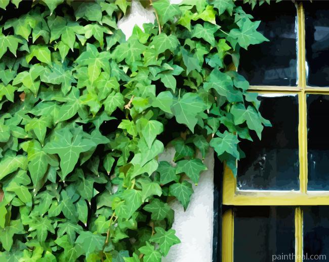 Green Vines Plants Painting By Numbers Kits