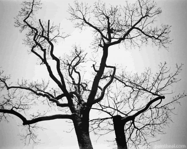 Two Black And White Trees Painting By Numbers Kits