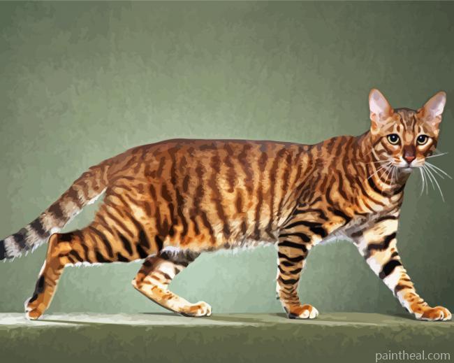 The Cat Tiger Painting By Numbers Kits