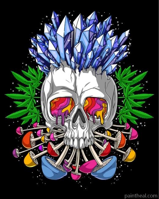 Psychedelic Skull Painting By Numbers Kits