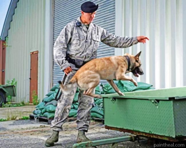 Military Dog Training Painting By Numbers Kits