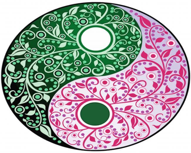 Pink And Green Yin Yang Painting By Numbers Kits