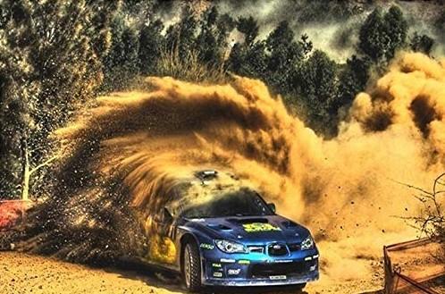2024 Rally Car Paint By Number