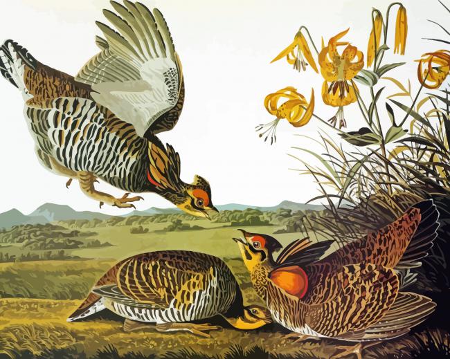 2025 the grouse birds paint by number