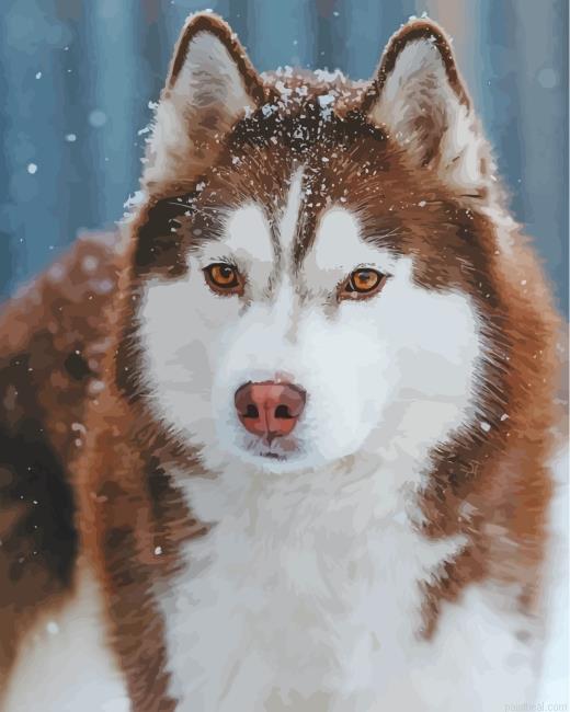 Aesthetic brown husky snow painting by numbers.jpeg